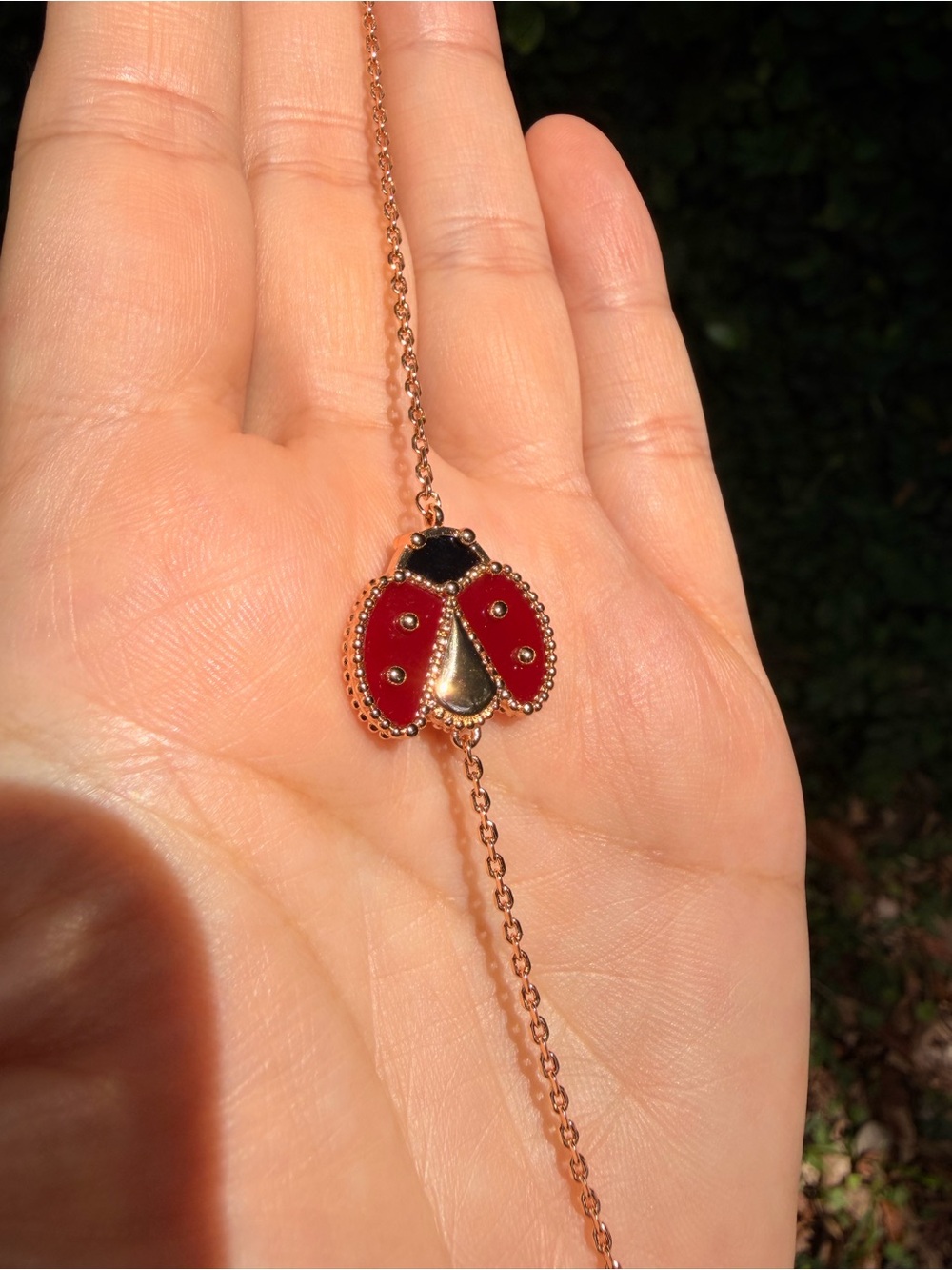 Red Ladybug Charm Bracelet Gold Plated - Picture 5 of 5